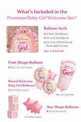 Premium Baby Girl Welcome Decoration Set